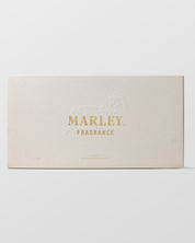 Masculine Deluxe Discovery Set