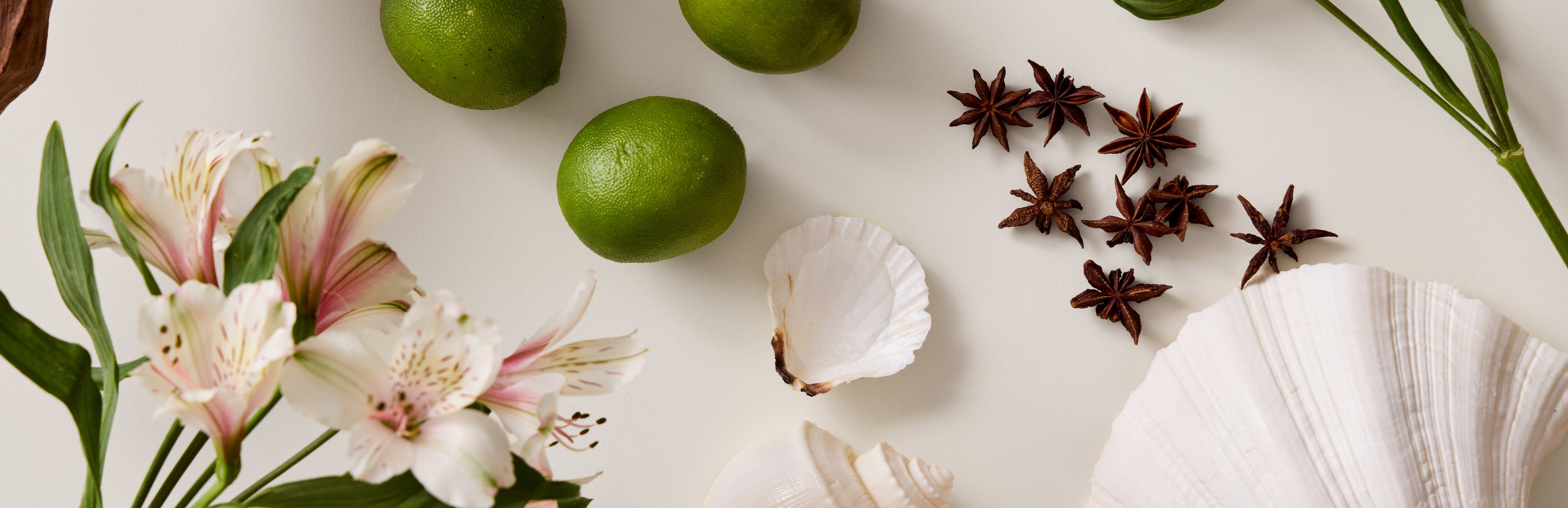 Bergamot Highlights