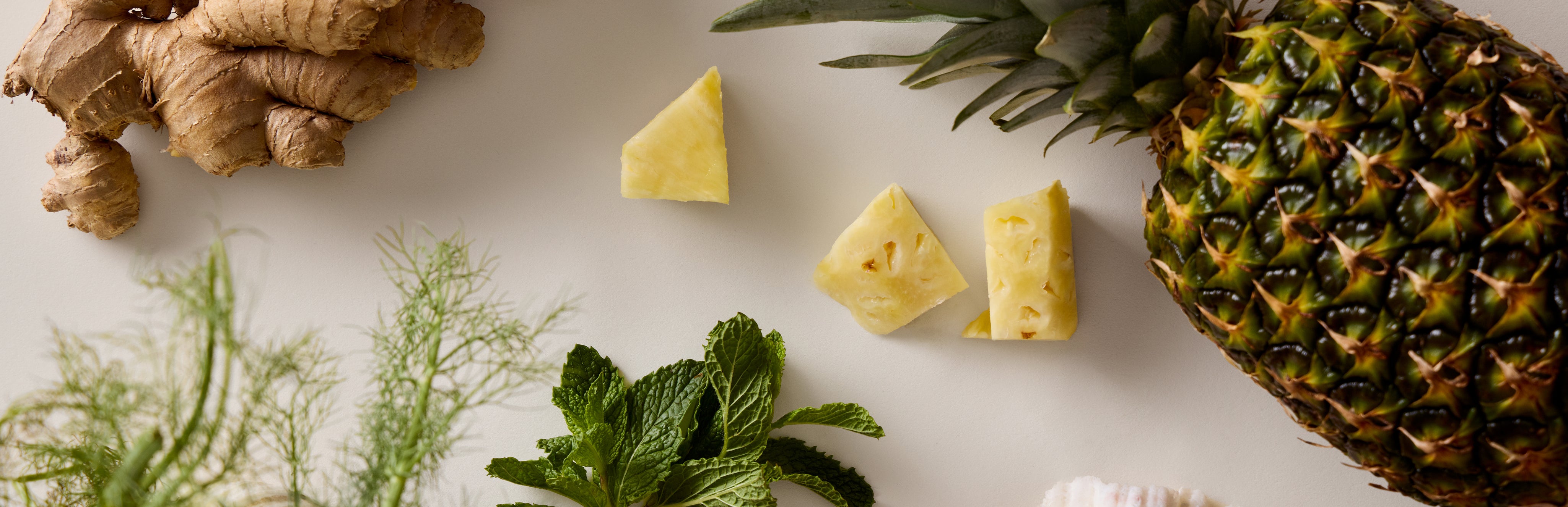Marley_-_Keep_On_Moving_-_Web_Banner_-_Ingredient_-_01_-_WEB.jpg