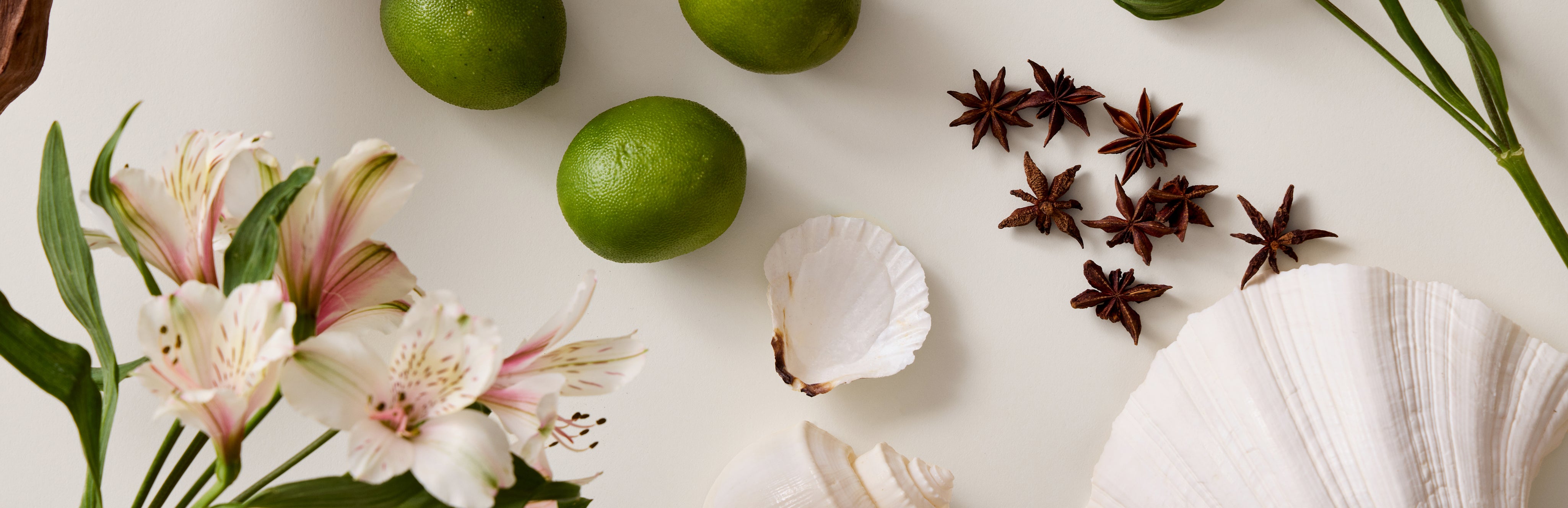 Marley_-_Lively_Up_Yourself_-_Web_Banner_-_Ingredient_-_01_-_WEB.jpg