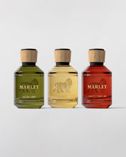 Masculine Fragrance Trio